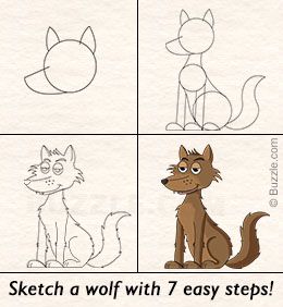 260x282 Step By Step Instructions For Beginners To Draw A Wolf Wolf