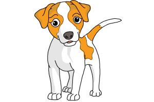 300x200 How To Draw A Dog Step By Step