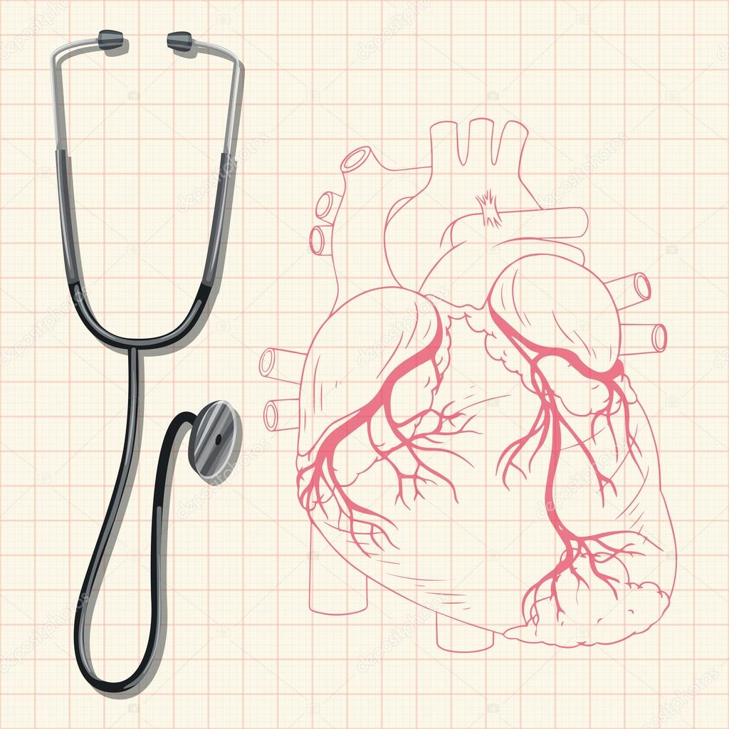 1024x1024 Stethoscope And Human Heart Stock Vector Interactimages