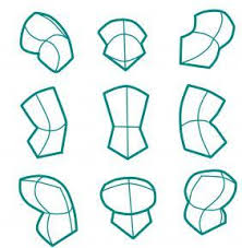 222x227 Image Result For Torso Leaning Forward Drawing Draw Ref