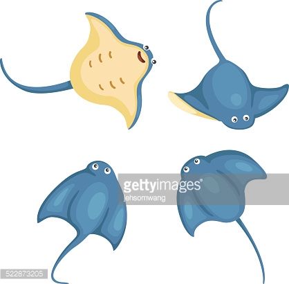 418x410 Stingray Drawing