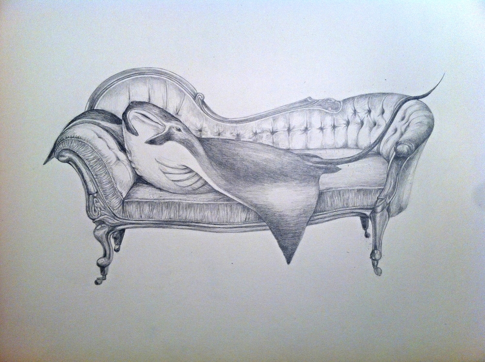 1000x747 Stingray Meryl Smith