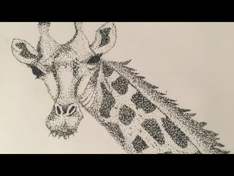 480x360 Stippling Giraffe Speed Drawing (Pointillism)