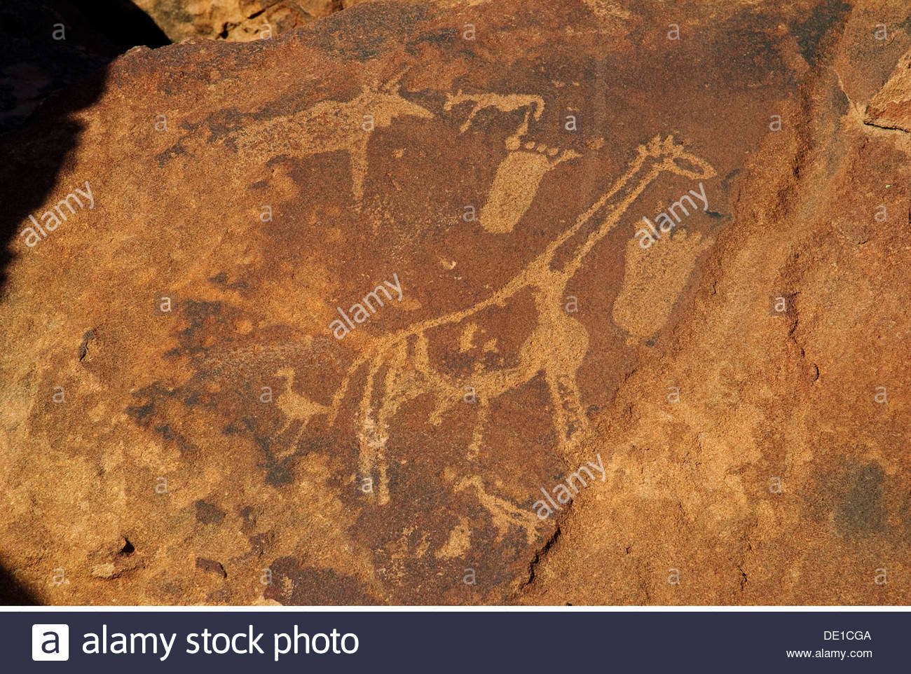 1300x962 Prehistory Stone Age Rock Engravings Of The San Twyfelfontein