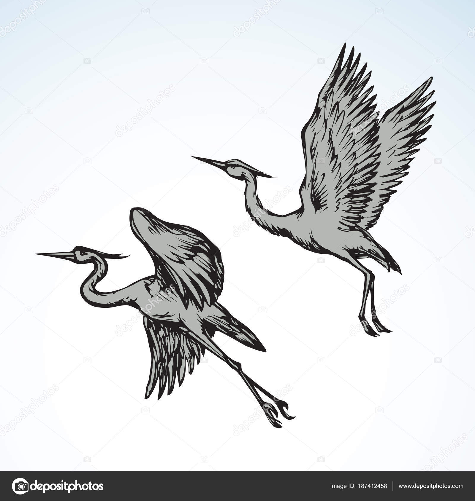 Stork Drawing at GetDrawings | Free download