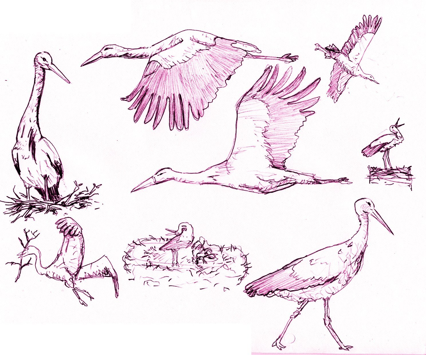 1488x1240 The Leuven Mechelen Canal Discovering Belgium