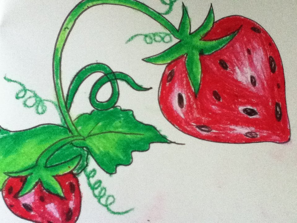 960x720 Strawberry Drawing For Kids In Simple Steps