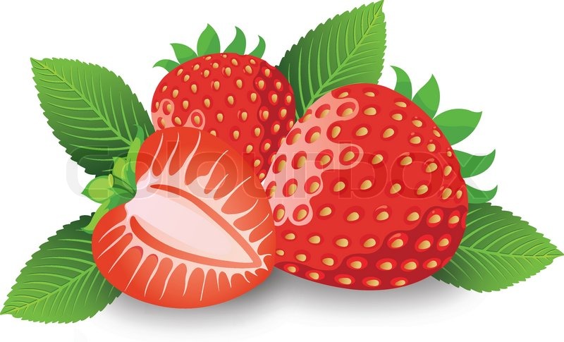 800x485 Strawberry, Illustration Stock Vector Colourbox