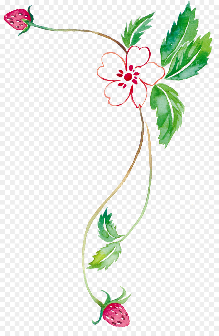 900x1380 Watercolor Painting Tabloid Clip Art