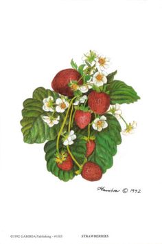 236x354 Strawberry Vine Flowers And Plants Tattoo