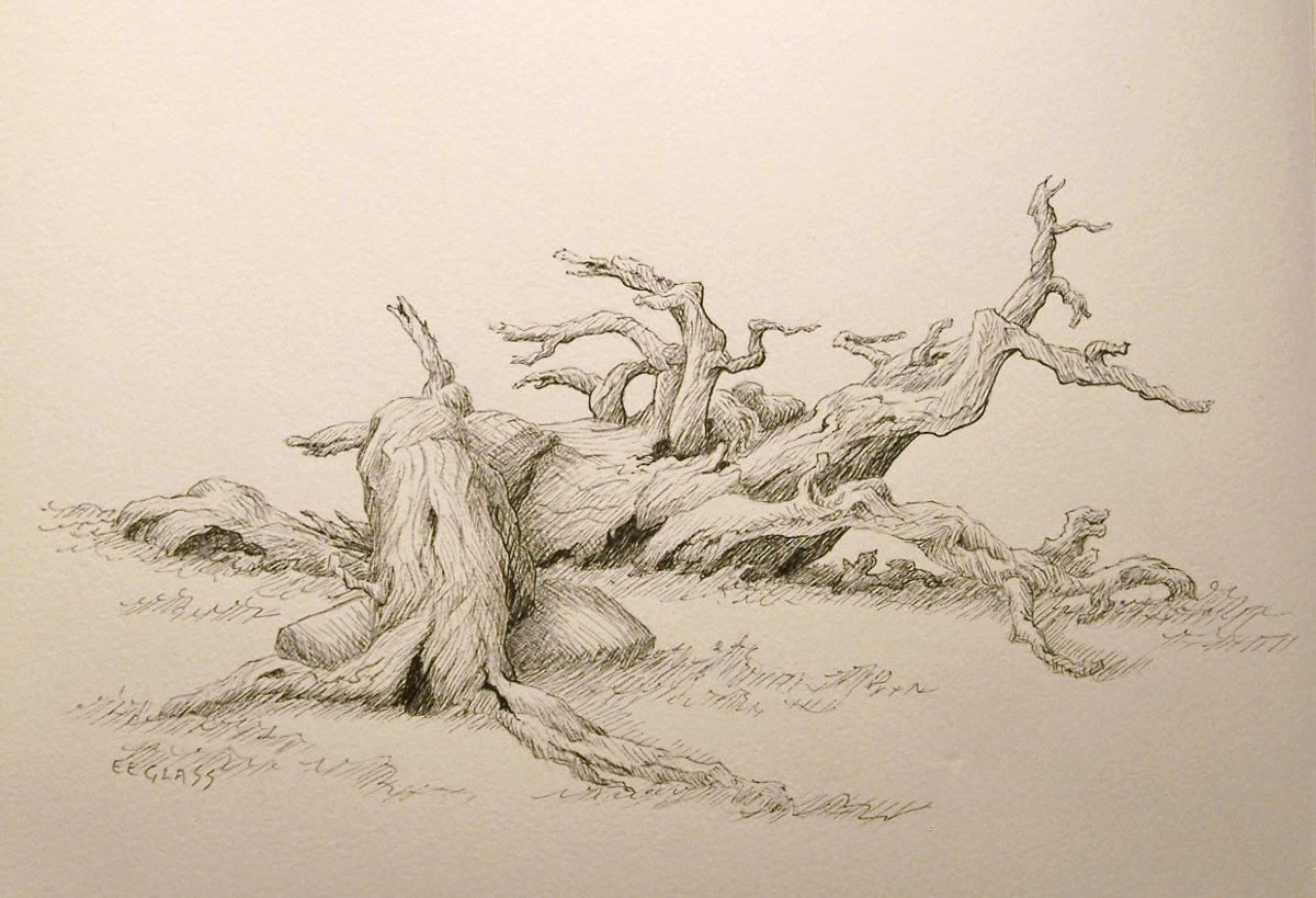 1200x819 Emerson Everett Glass