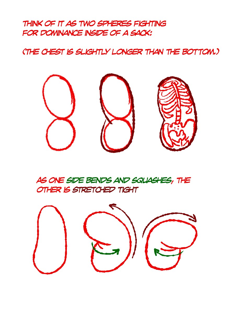 884x1280 Squash And Stretch Bean