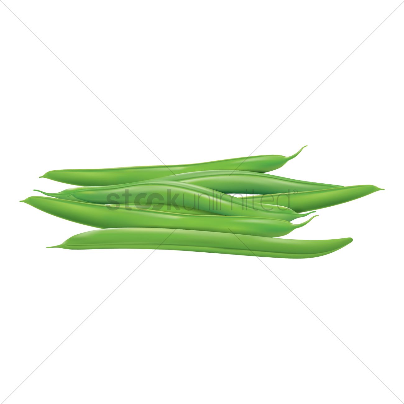 1300x1300 Green Beans Vector Image