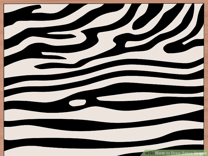728x546 How To Draw Zebra Stripes 14 Steps (With Pictures)