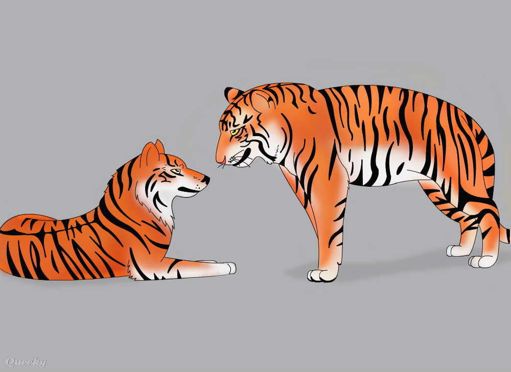 1000x727 Tiger Stripes An Animals Speedpaint Drawing By Blackblaze