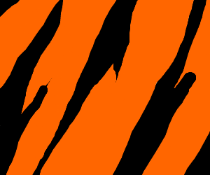 300x250 Tiger Stripes