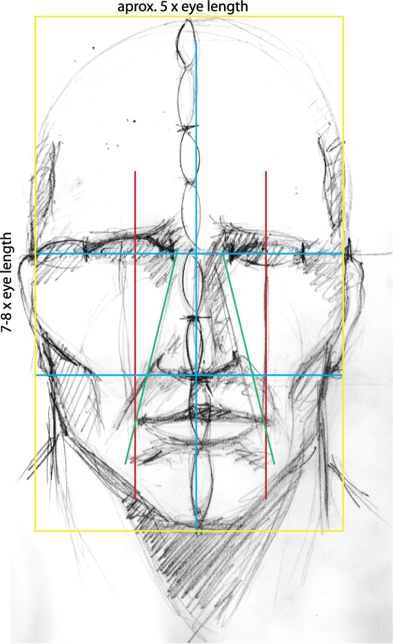 570x933 Drawing Vector Portraits Part 1 The Facial Structure
