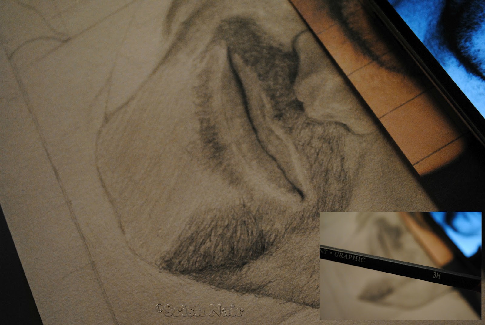 1600x1071 Tutorial How To Draw Stubble Little Brown Artist