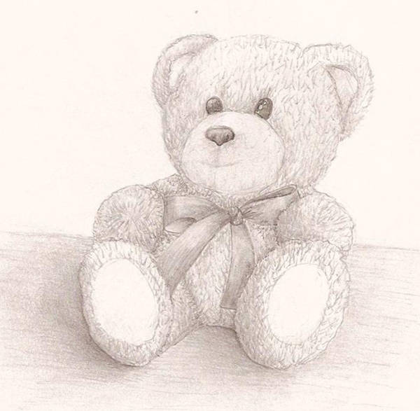 600x587 Teddy Bear Drawings