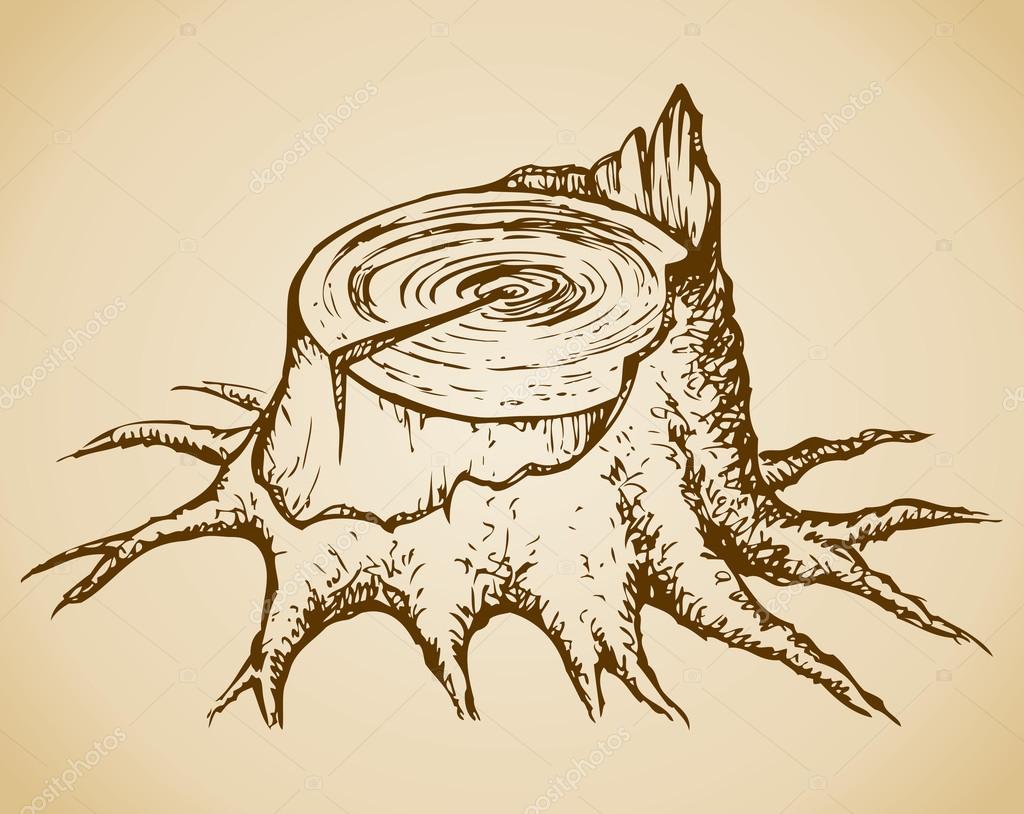 1024x814 Old Tree Stump. Vector Sketch Stock Vector Marinka