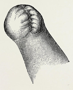 246x300 Stump Drawings Fine Art America