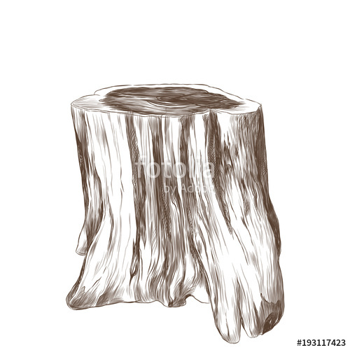 500x500 A Thick Tree Stump Into A Table, Sketch Vector Graphics Monochrome