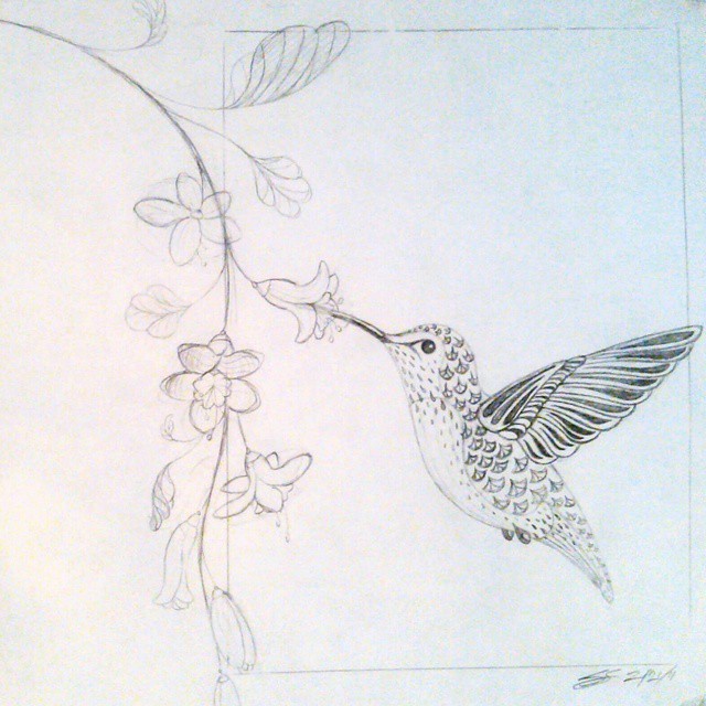 640x640 Stylized Drawing Of A Hummingbird Drinking From Flowers. Pencil