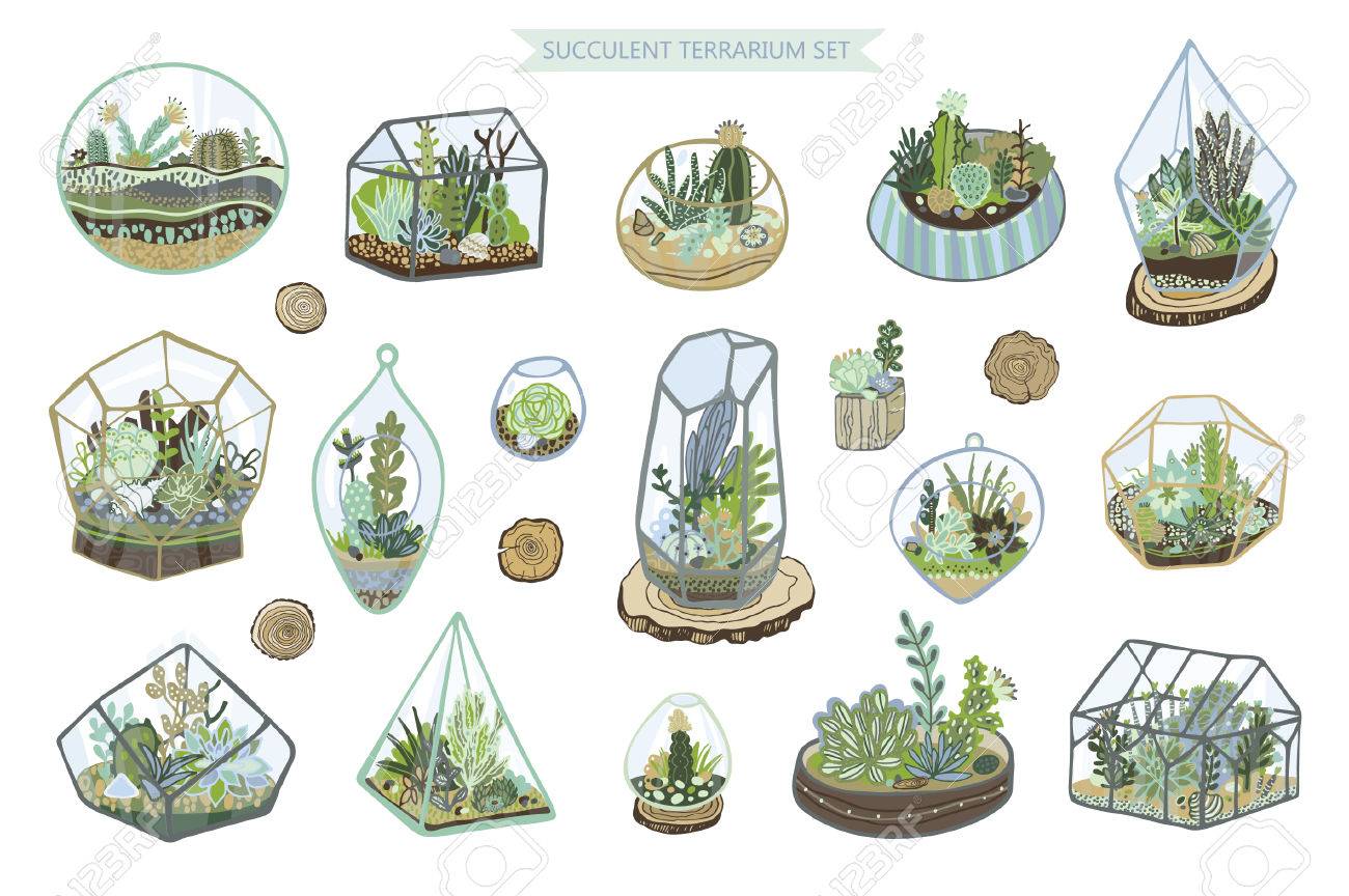 1300x864 Succulent Cactus Hand Drawing Color Graphic Vector Set Royalty