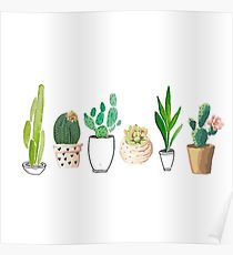 210x230 Succulent Drawing Posters Redbubble