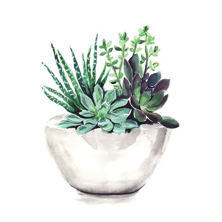 750x750 Some Flowers To You