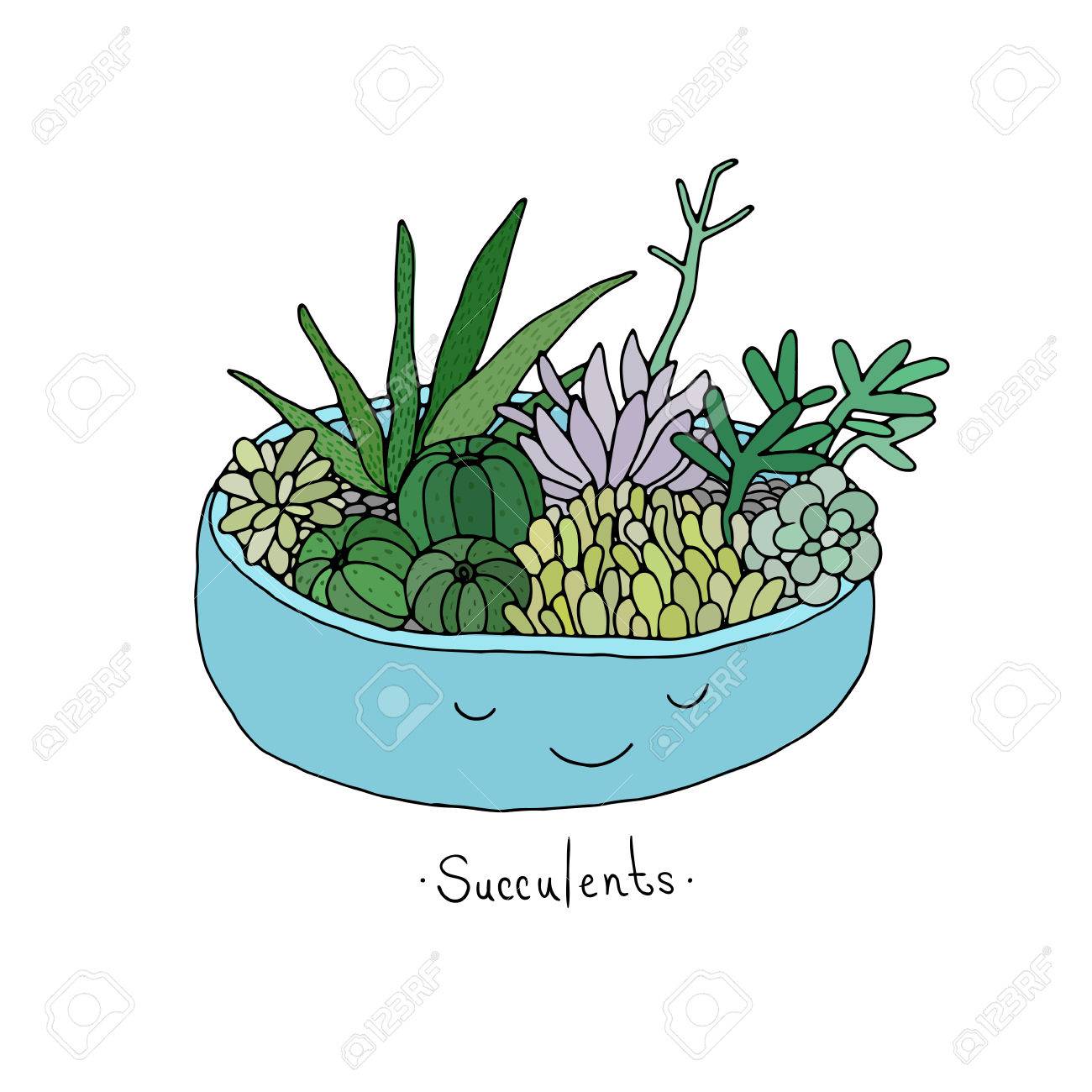 1300x1300 Cartoon Cute Succulents In Pot. Hand Drawing Isolated Objects