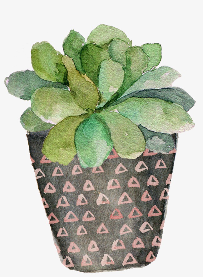 650x887 Drawing Green Potted Succulents, Watercolor Green, Succulent