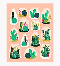 210x230 Succulent Drawing Photographic Prints Redbubble