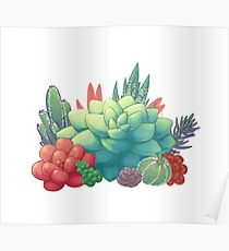 210x230 Succulents Drawing Posters Redbubble