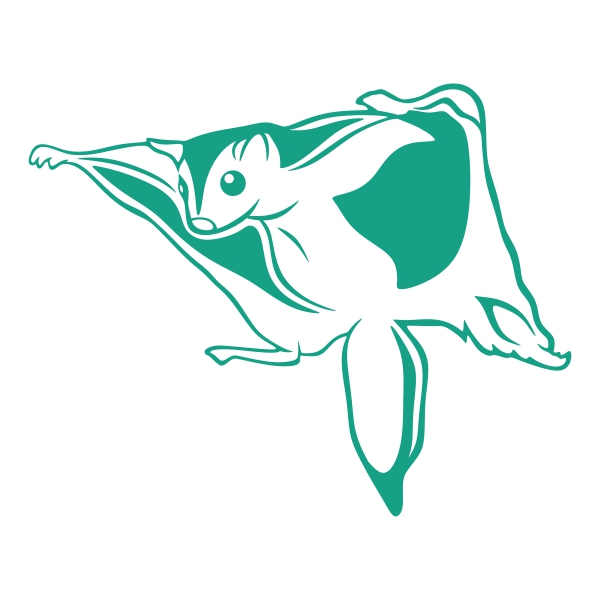 600x600 Glider Flying Squirrel Cuttable Design