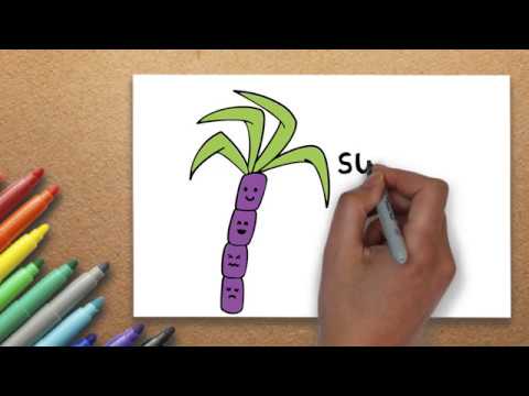 480x360 The Best Drawing Lesson How To Draw A Sugarcane Drawing