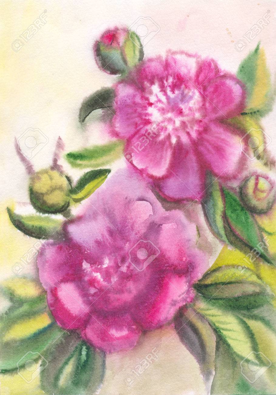 909x1300 Violet Peonies. Drawing On Raw Paper. Watercolor Purple Summer