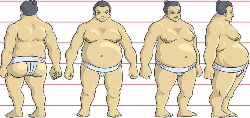 818x387 Rotation Gallery