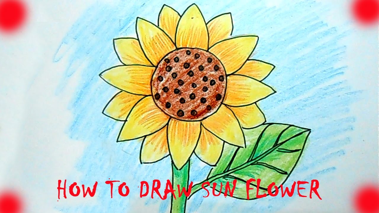1280x720 How To Draw Sun Flower