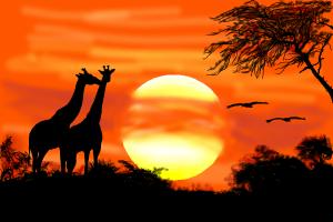 300x200 How To Draw A Sunset