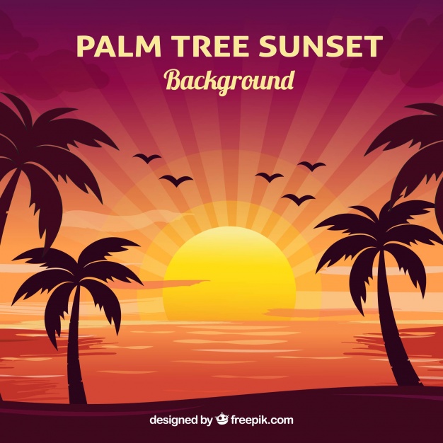 626x626 Sunset Vectors, Photos And Psd Files Free Download