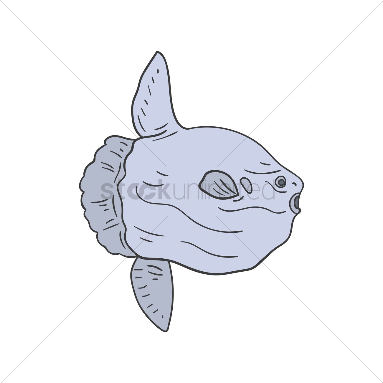 The best free Sunfish drawing images. Download from 45 free drawings of ...