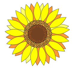 250x226 How To Draw Sunflowers