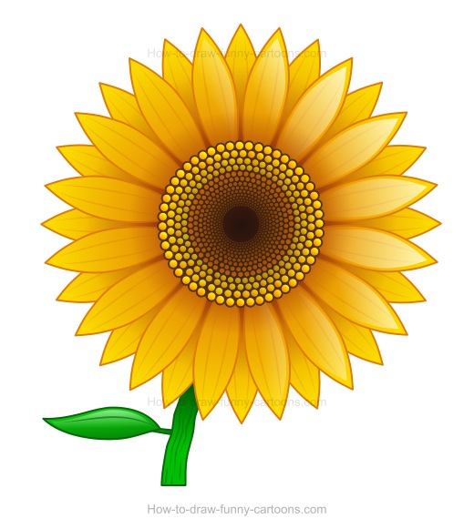 Sunflower Cartoon Drawing at GetDrawings | Free download