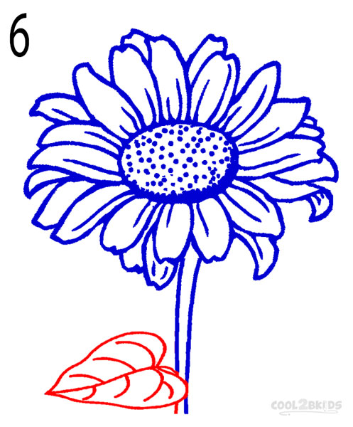 497x600 How To Draw A Sunflower (Step By Step Pictures) Cool2bkids