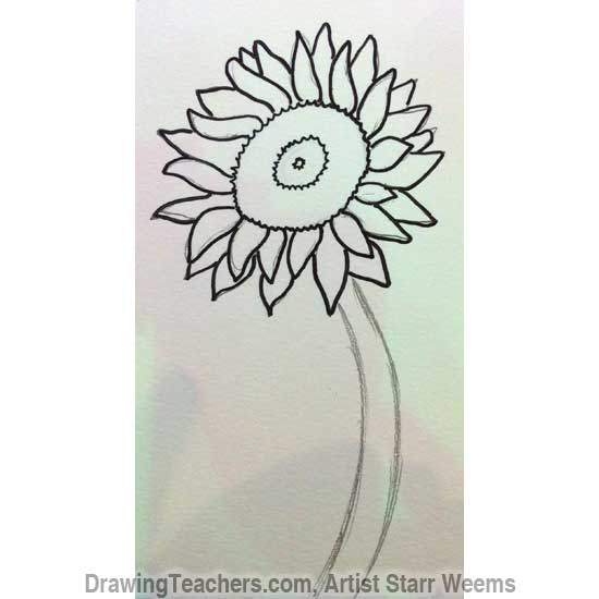 550x550 To Draw A Sunflower