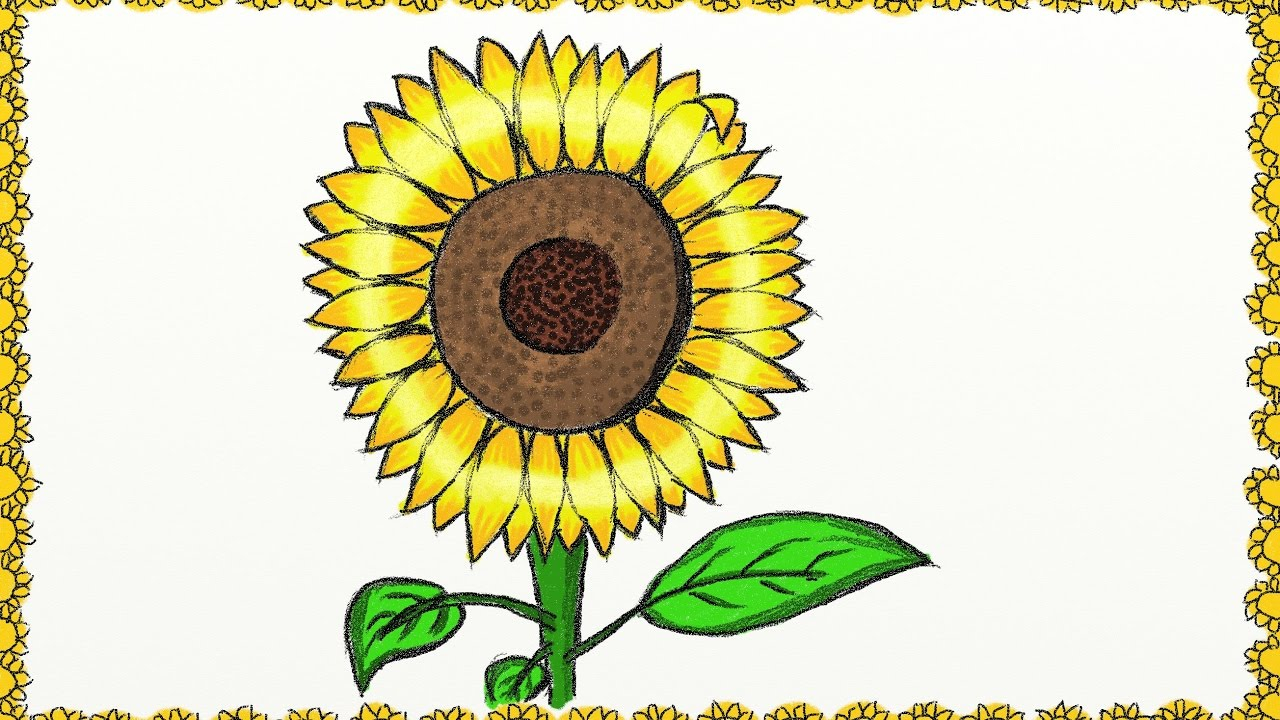 1280x720 Simple Sunflower Drawing Drawing A Simple Sunflower How To Draw