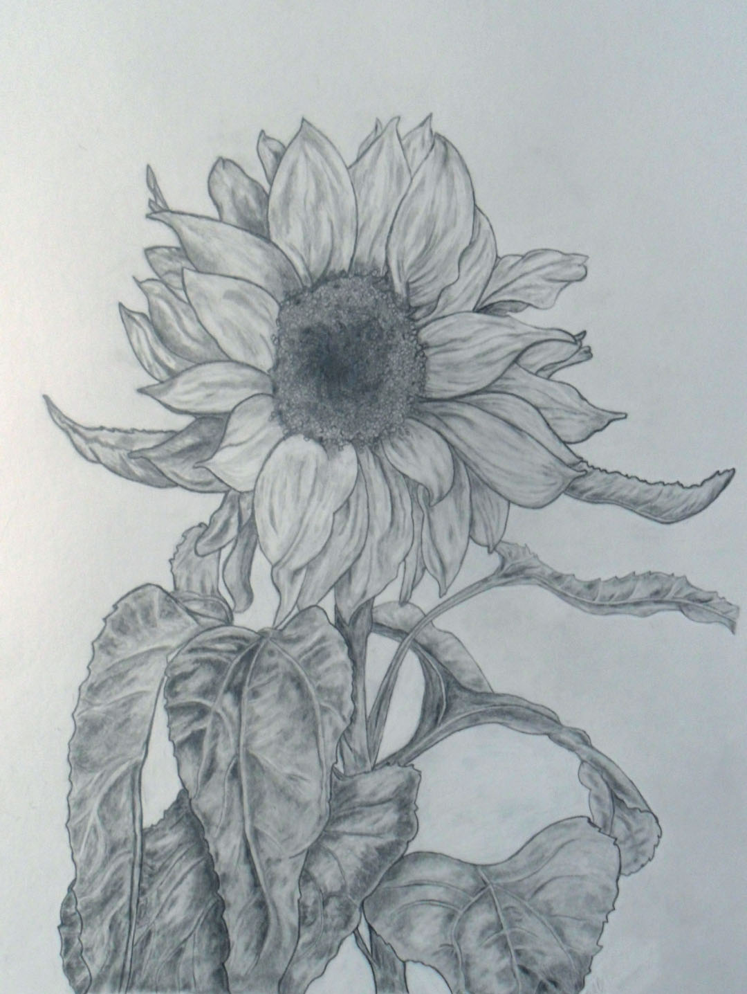 1080x1436 Paper Making It's A Whole New World