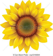 220x229 Image Result For Sunflower Drawing Template Dibujos