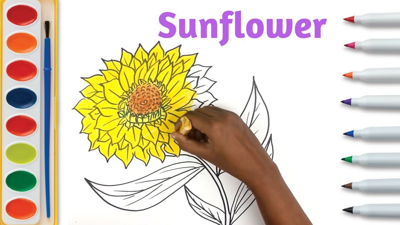 1280x720 Sunflower Drawing Tutorial Sketching Flower On Paper